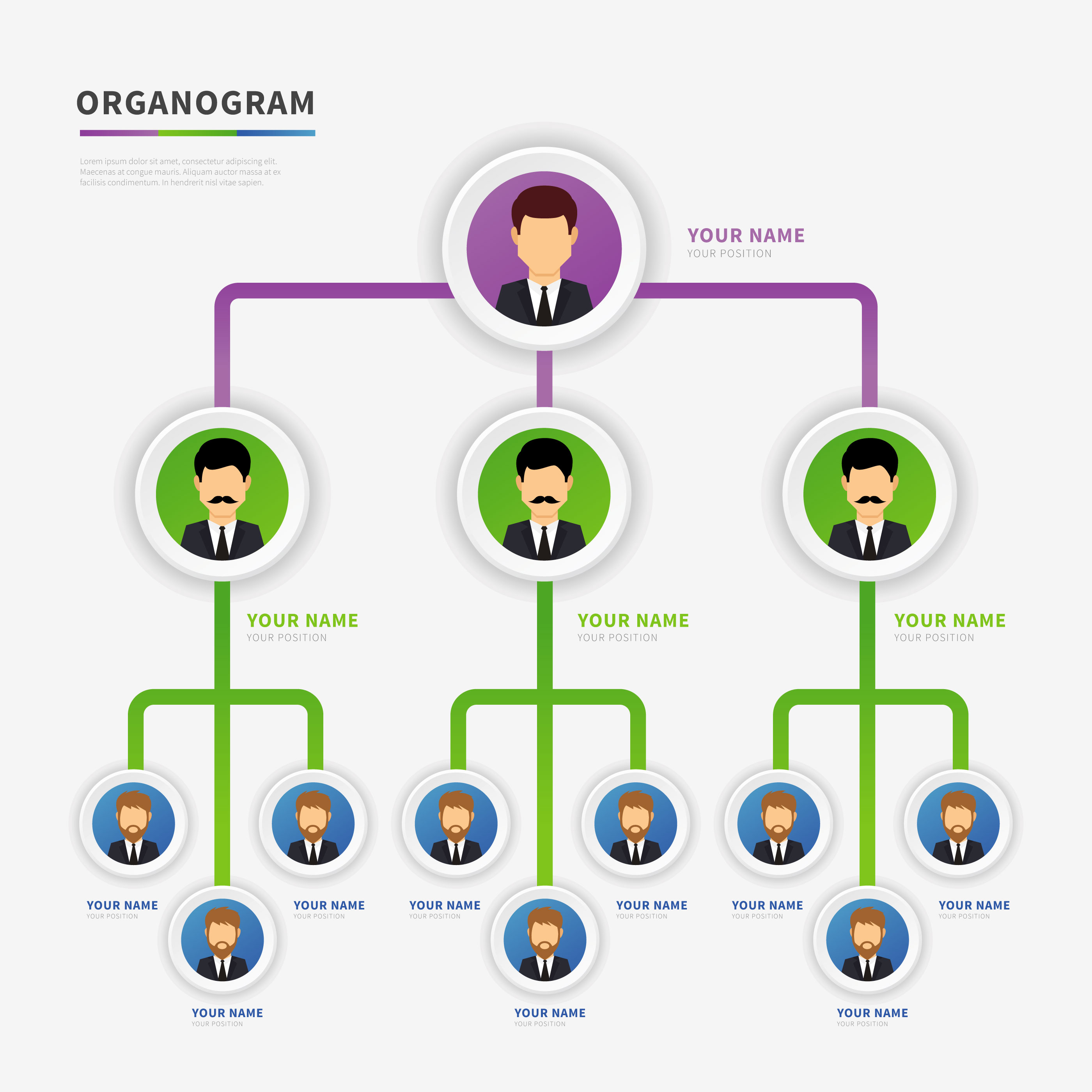 organogram